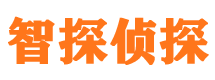 漯河侦探公司